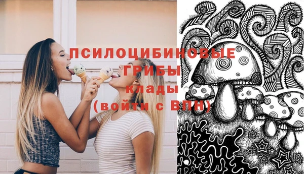 Альфа ПВП Пролетарск