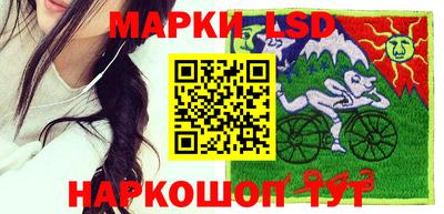 дурь Берёзовский