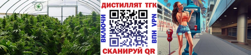 купить закладку  ссылка на мегу зеркало  это телеграм  Воронеж  Дистиллят ТГК вейп с тгк 