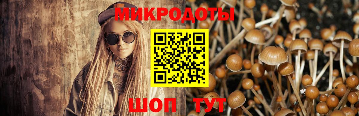 Воронеж  Псилоцибиновые грибы Psilocybe  Вход с VPN 
