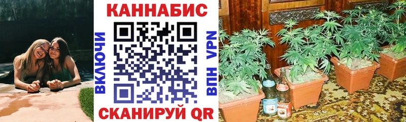 где купить наркотик ОМГ ОМГ как зайти МАРИХУАНА SATIVA & INDICA Воронеж