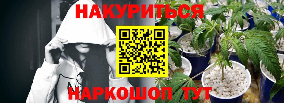 Марихуана гибрид  Конопля тримм  Бошки марихуана план  Воронеж  Вход с VPN 